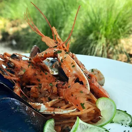 Estivo Premium Deluxe Mobile Homes On Malibu *